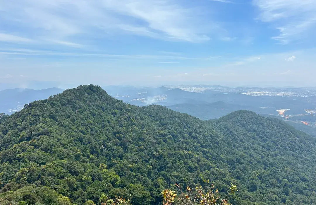 We Love Vietnam
