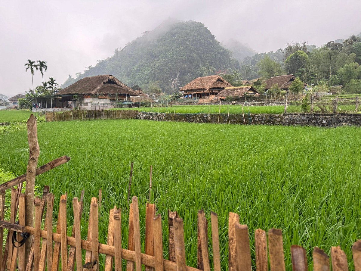 We Love Vietnam
