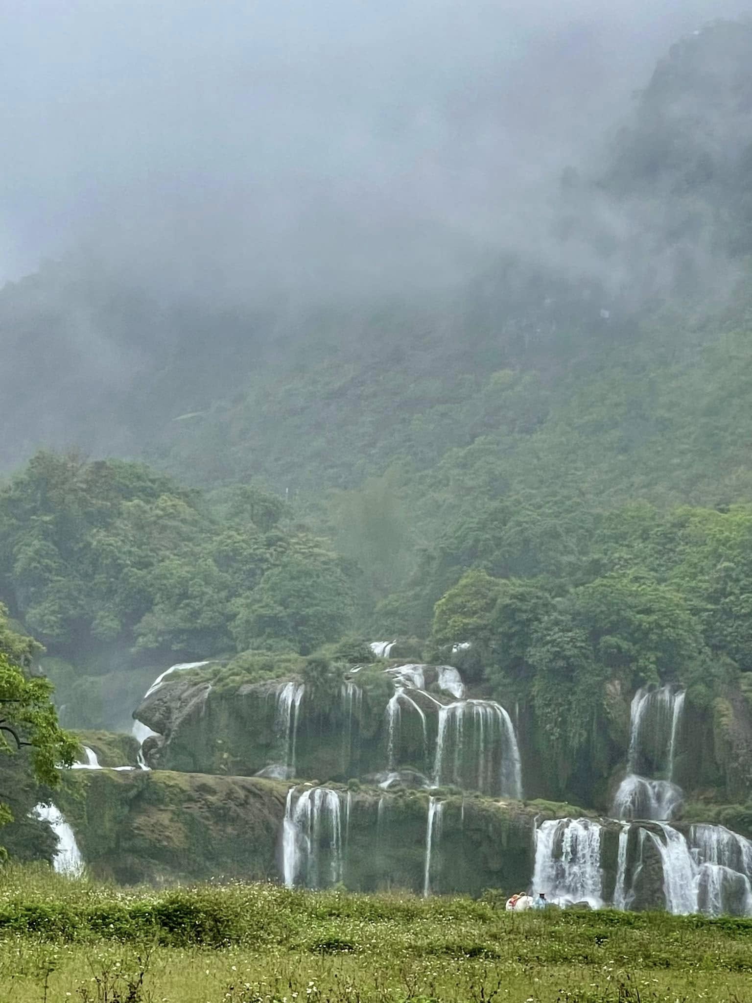 We Love Vietnam
