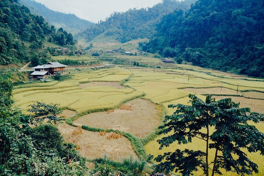We Love Vietnam