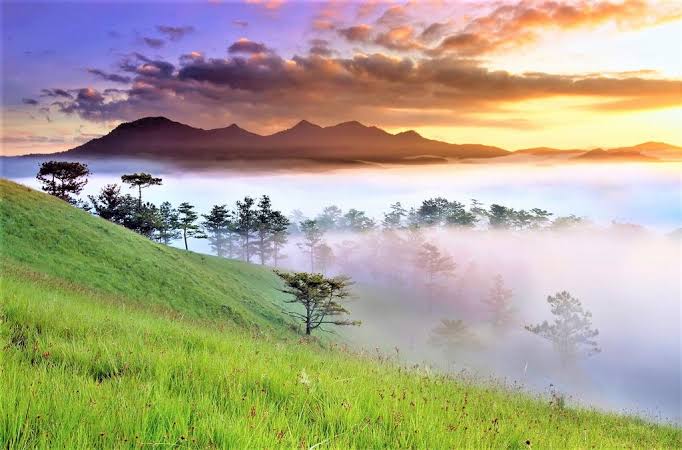 We Love Vietnam
