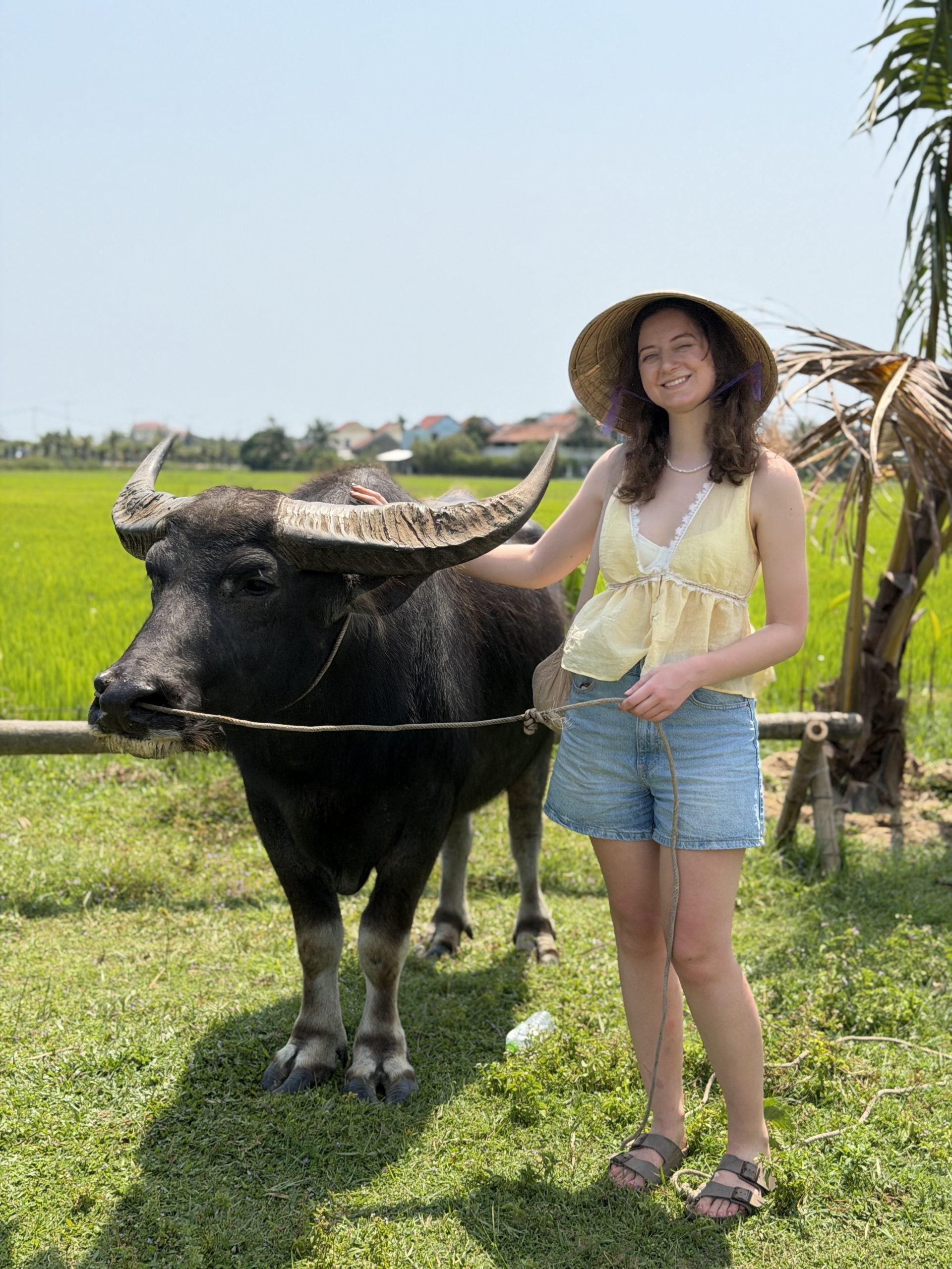 We Love Vietnam
