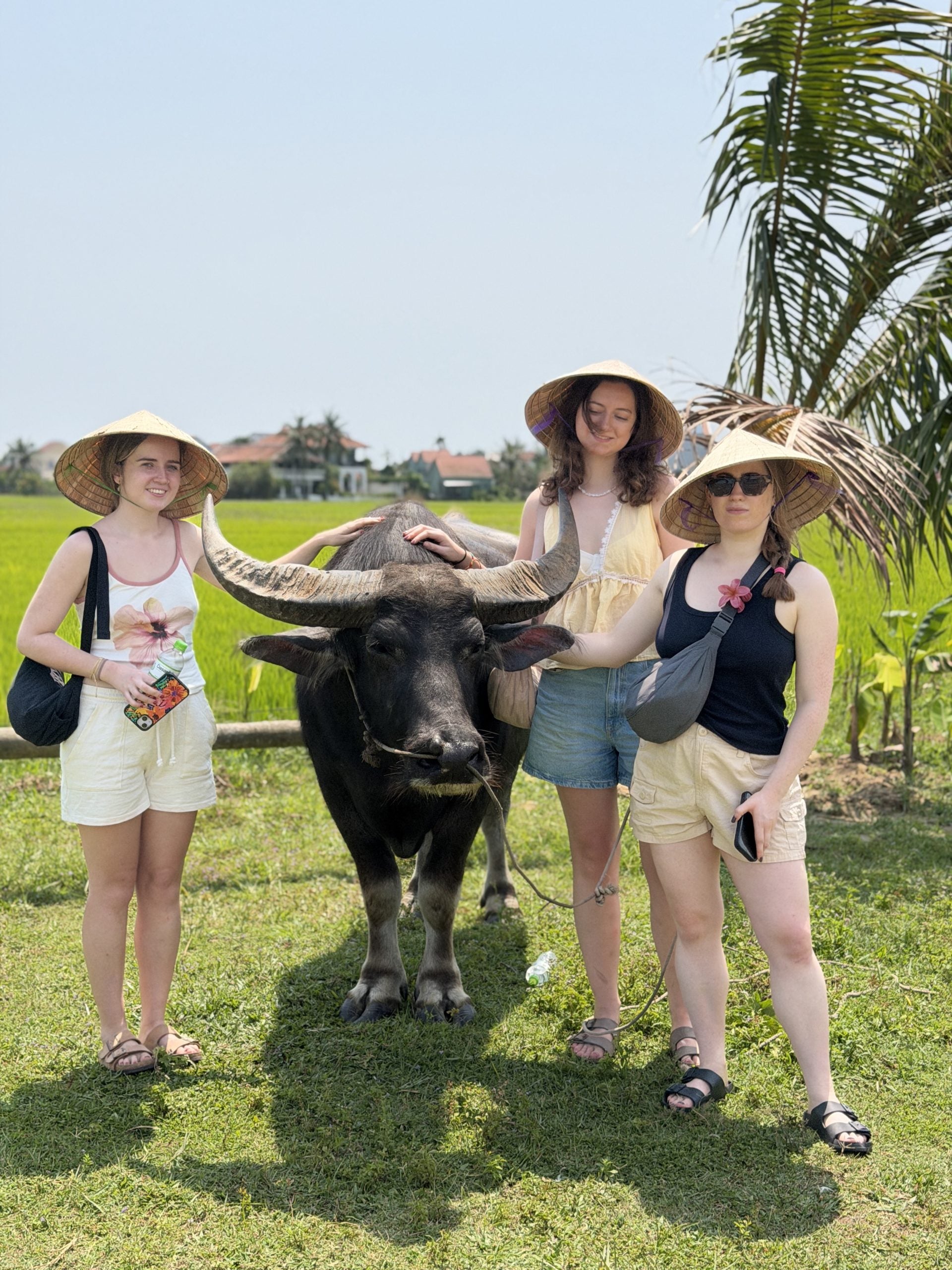 We Love Vietnam