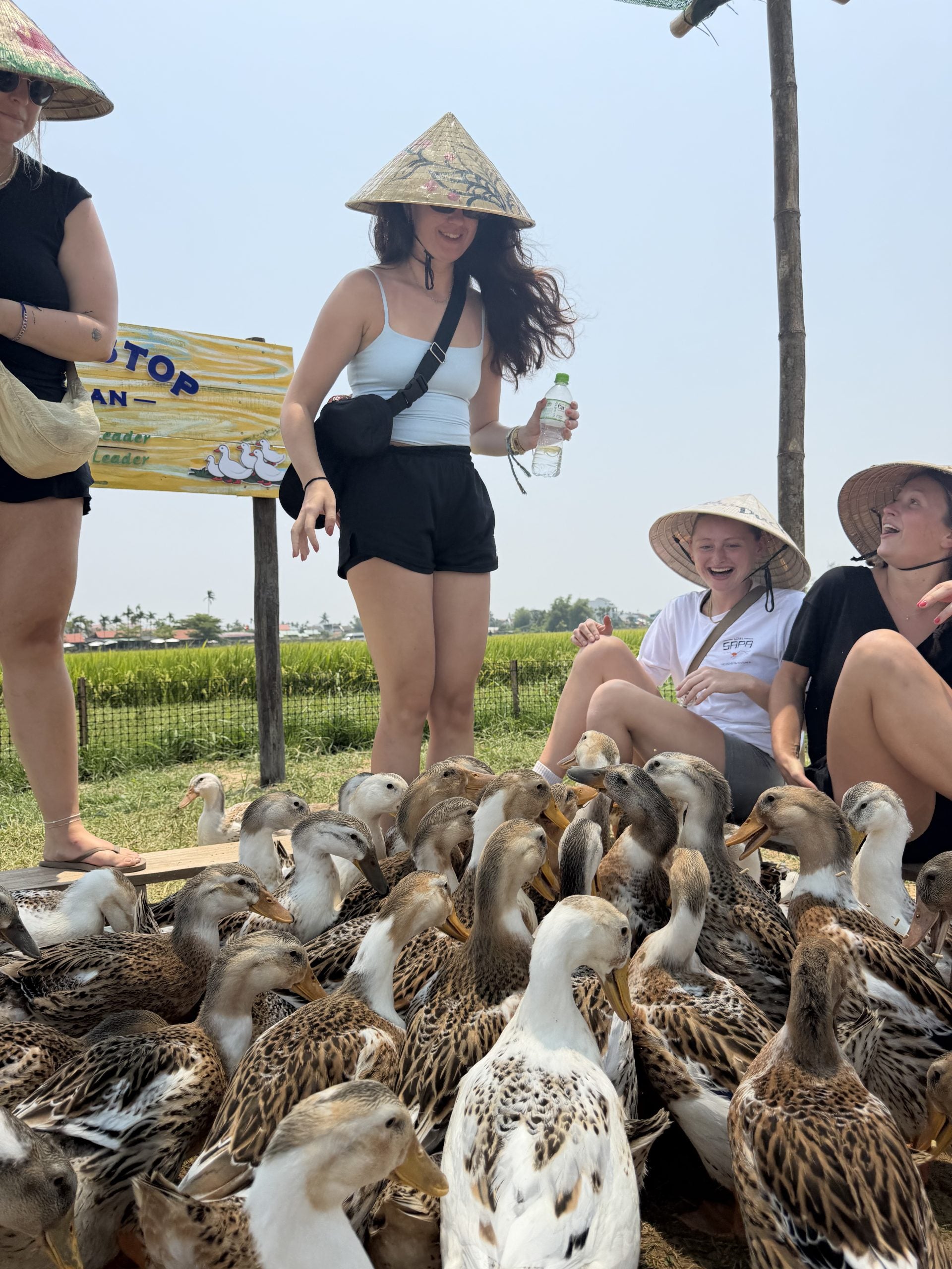 We Love Vietnam