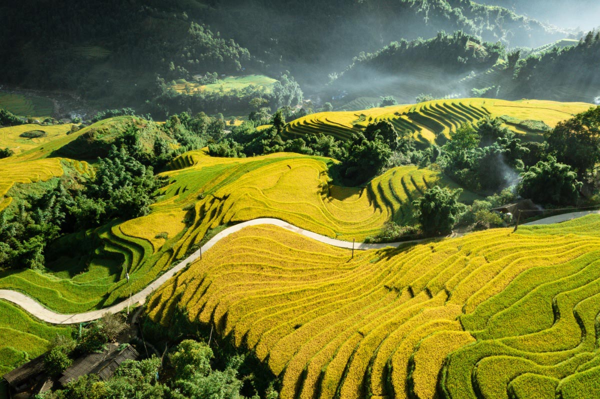 We Love Vietnam