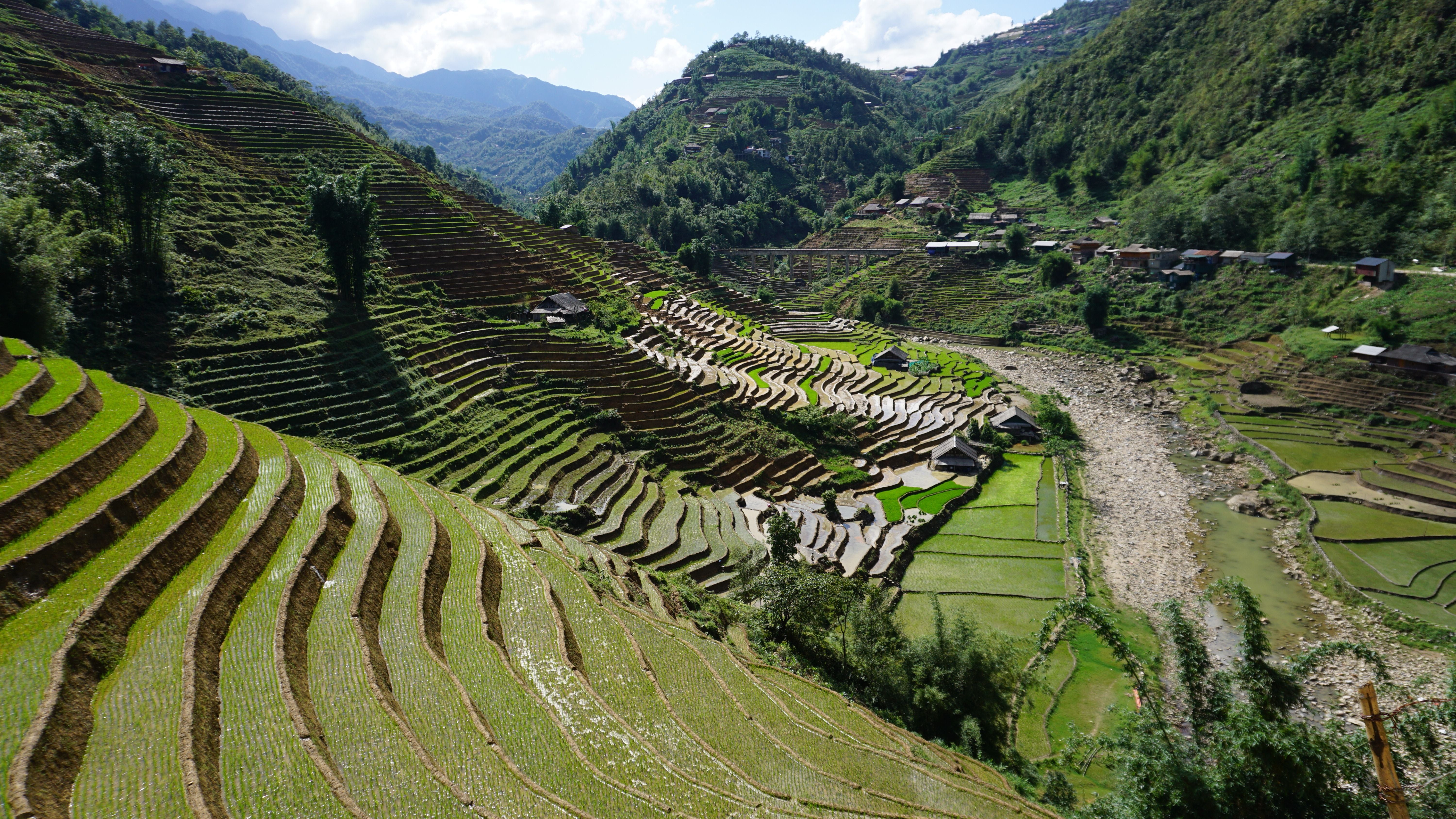 We Love Vietnam