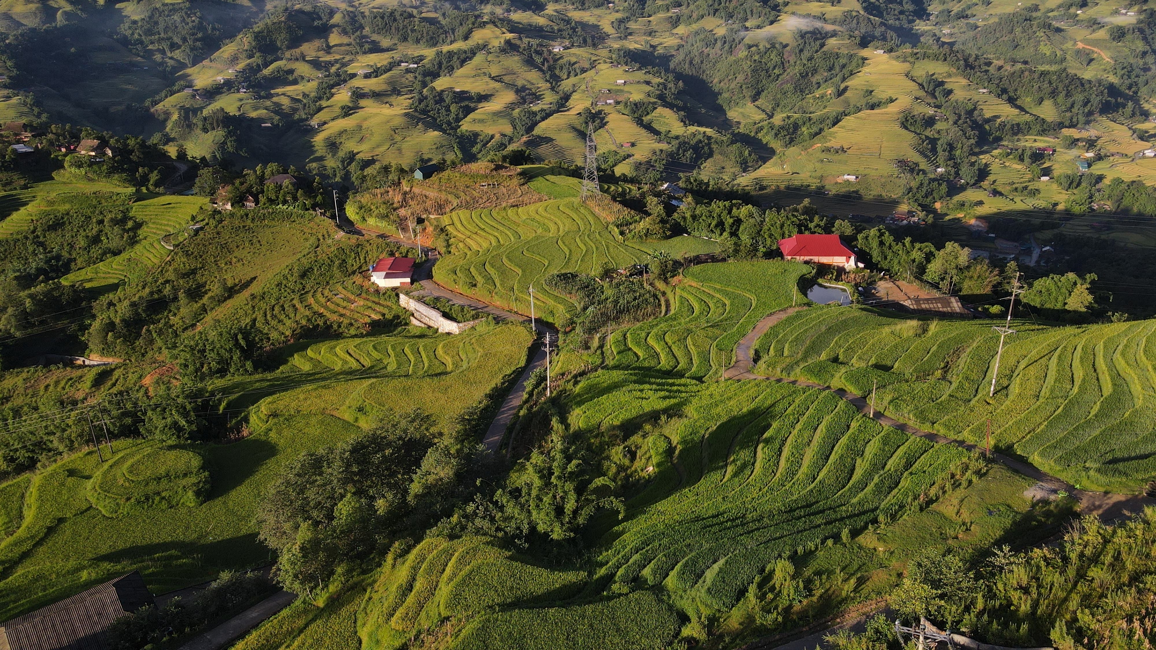 We Love Vietnam